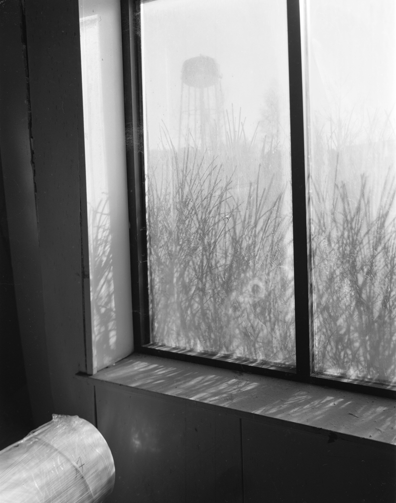 © sofia peeters - Image from the A Single Spark Can Start a Prairie Fire photography project