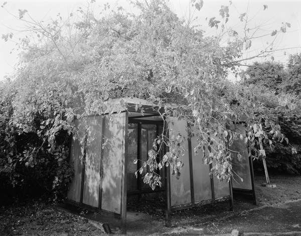 © sofia peeters - Image from the A Single Spark Can Start a Prairie Fire photography project