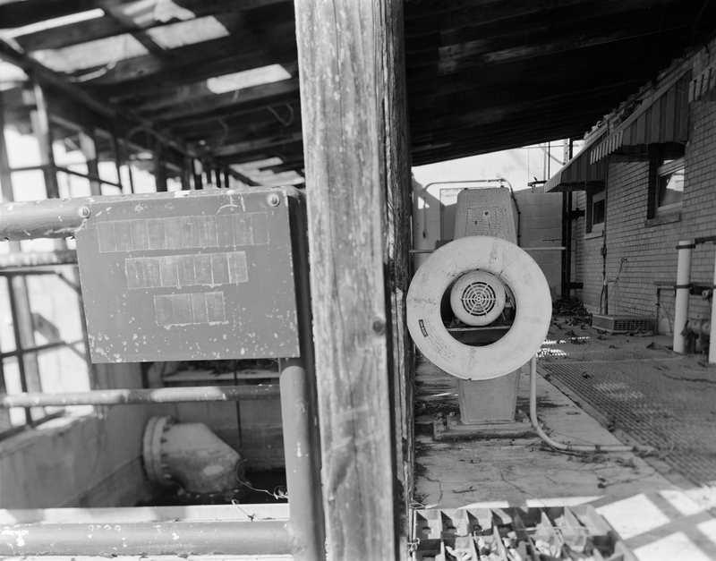 © sofia peeters - Image from the A Single Spark Can Start a Prairie Fire photography project