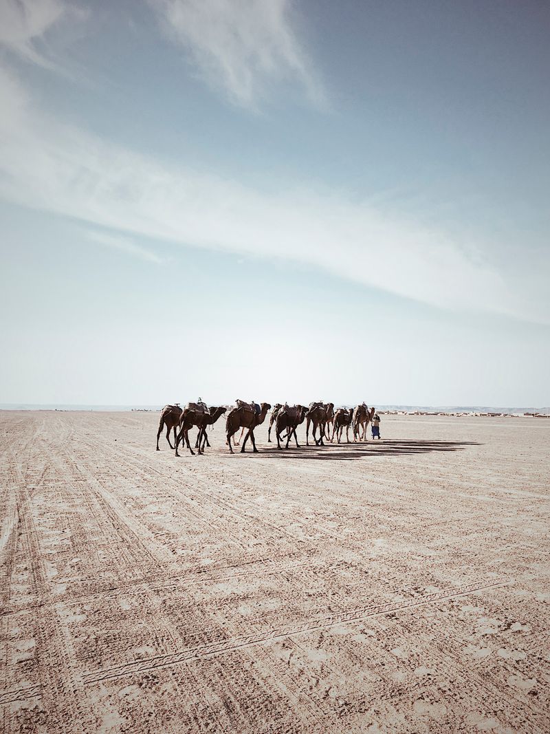 © Francesco Zanet - Image from the Is There anybody out there? photography project