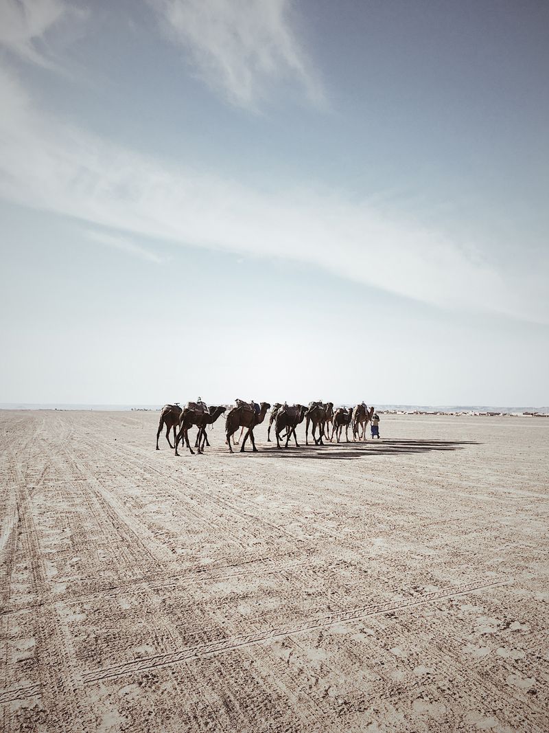 © Francesco Zanet - Image from the Is There anybody out there? photography project