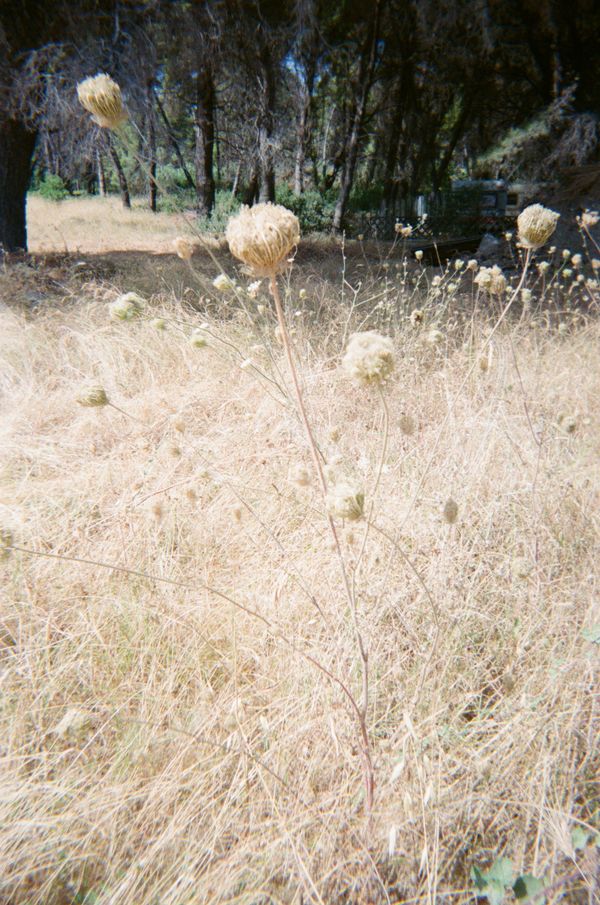 © Xanthe Hutchinson - Image from the Boys Don't Cry photography project