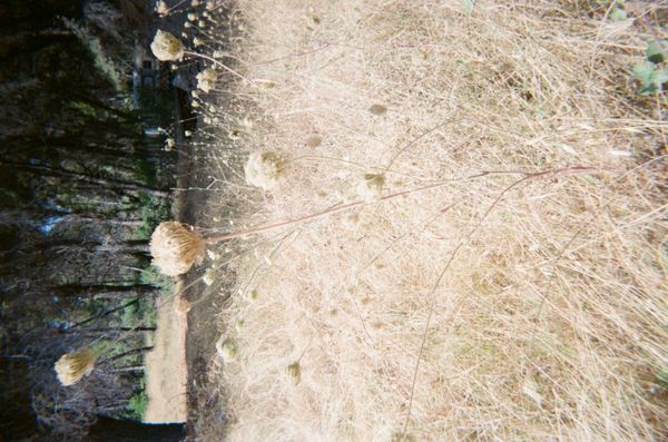 © Xanthe Hutchinson - Image from the Boys Don't Cry photography project