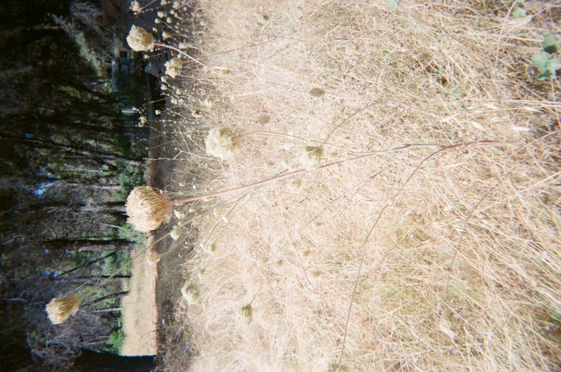 © Xanthe Hutchinson - Image from the Boys Don't Cry photography project