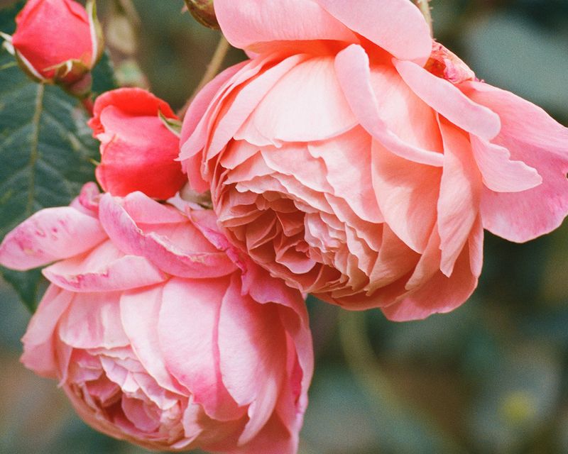 © Xanthe Hutchinson - Image from the Boys Don't Cry photography project