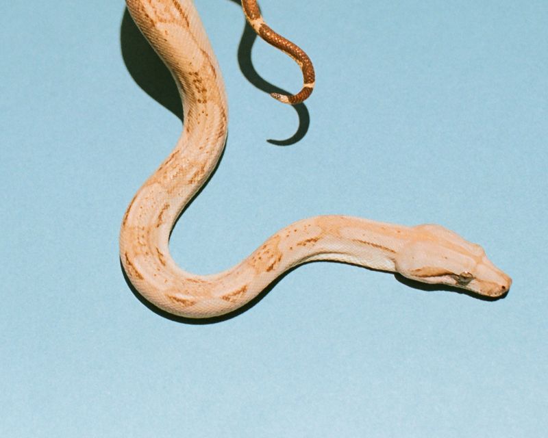 © Xanthe Hutchinson - Image from the Boys Don't Cry photography project