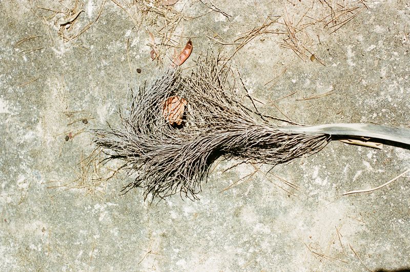 © Xanthe Hutchinson - Untitled (III)