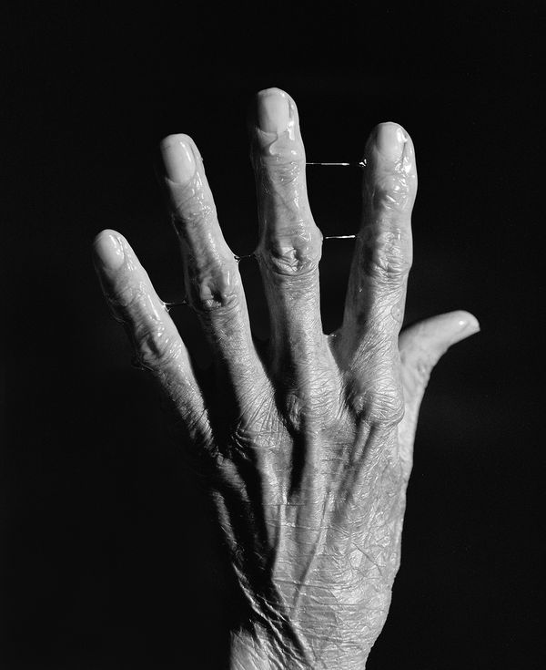 © Xanthe Hutchinson - Wetness