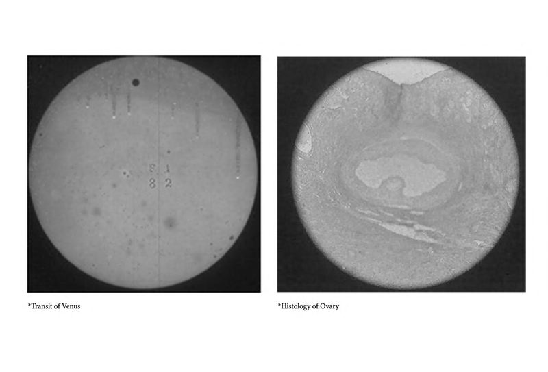 © Xanthe Hutchinson - Bodies in Space