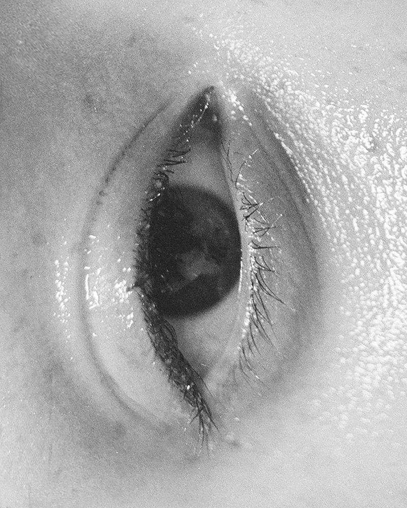 © Xanthe Hutchinson - The Eye