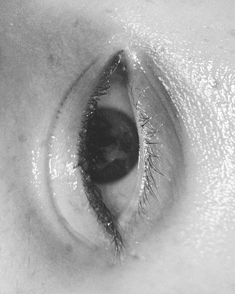 © Xanthe Hutchinson - The Eye
