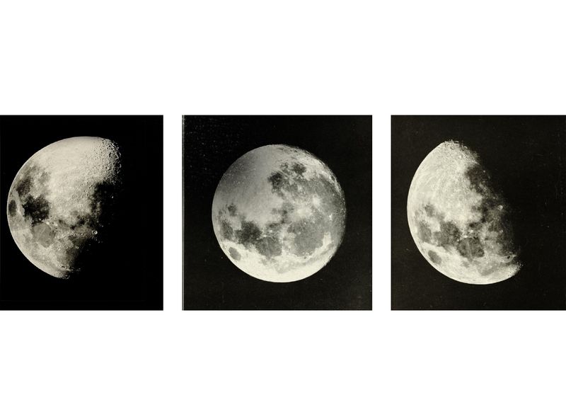 © Xanthe Hutchinson - Image from the On Wetness photography project