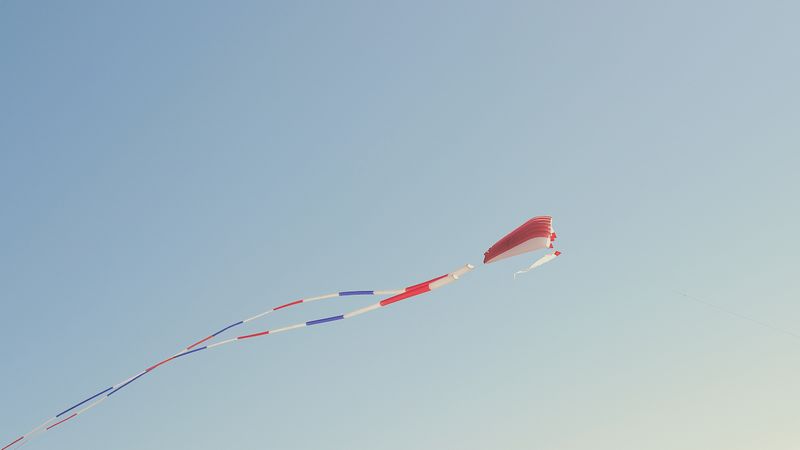 © Eduardo Rosas - A lone kite suspended in a clear coastal sky