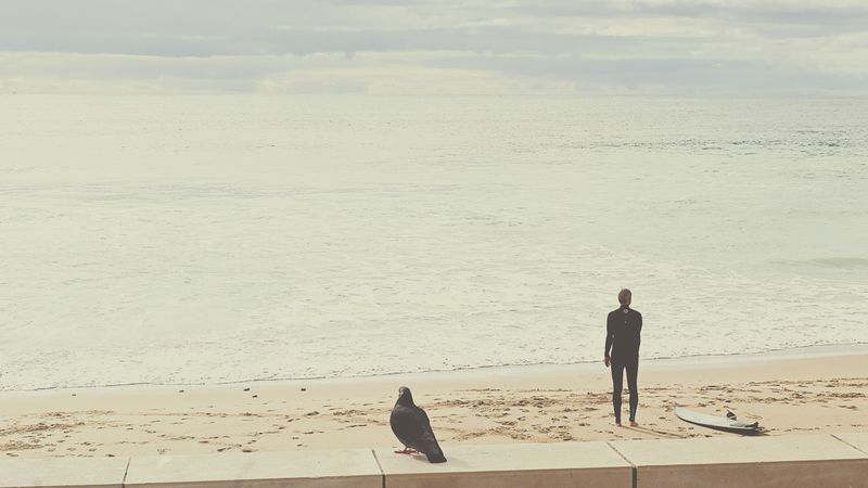 © Eduardo Rosas - A surfer and a pigeon overlooking the ocean