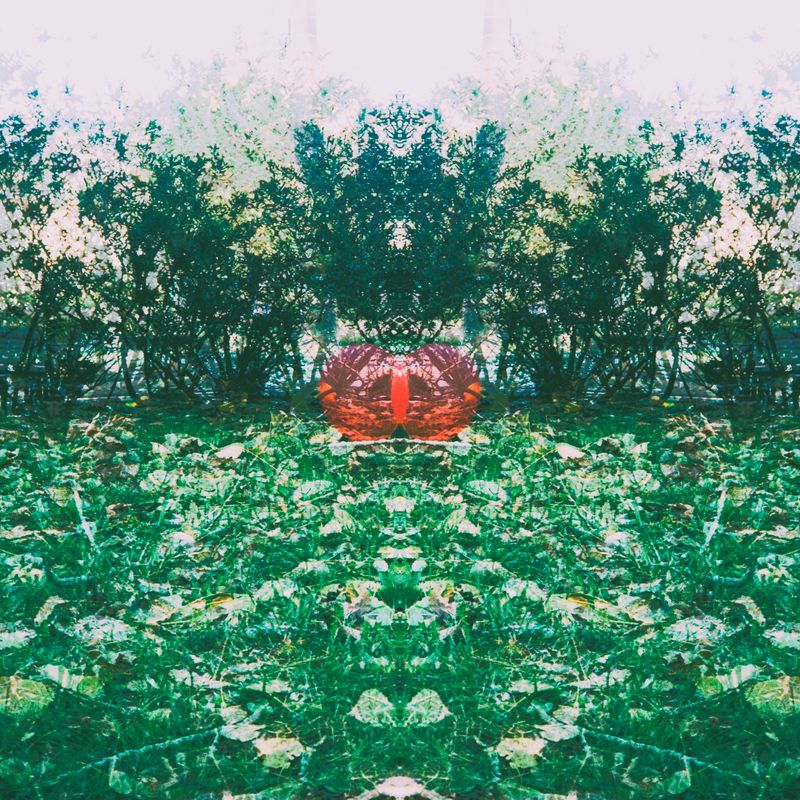 © Eduardo Rosas - Image from the Fleeting Presence photography project