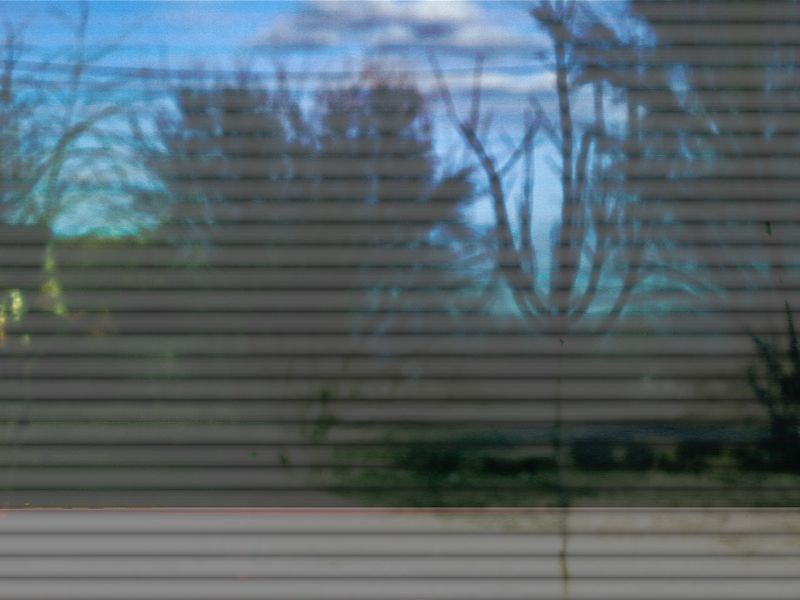 © Anastasia Miseyko - Image from the West Of The Birch Trees photography project