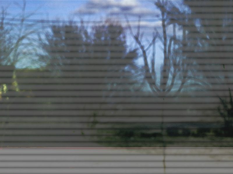 © Anastasia Miseyko - Image from the West Of The Birch Trees photography project