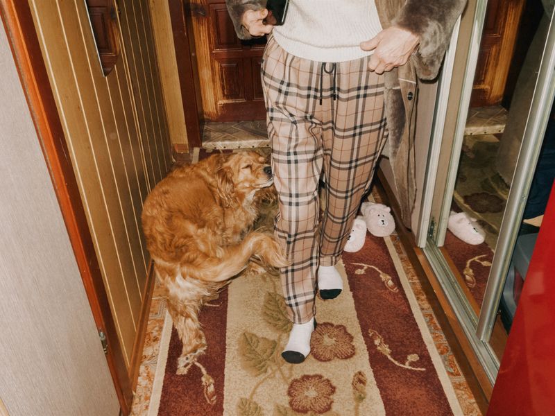 © Anastasia Miseyko - Lucky seeks comfort and attention during shellfire.