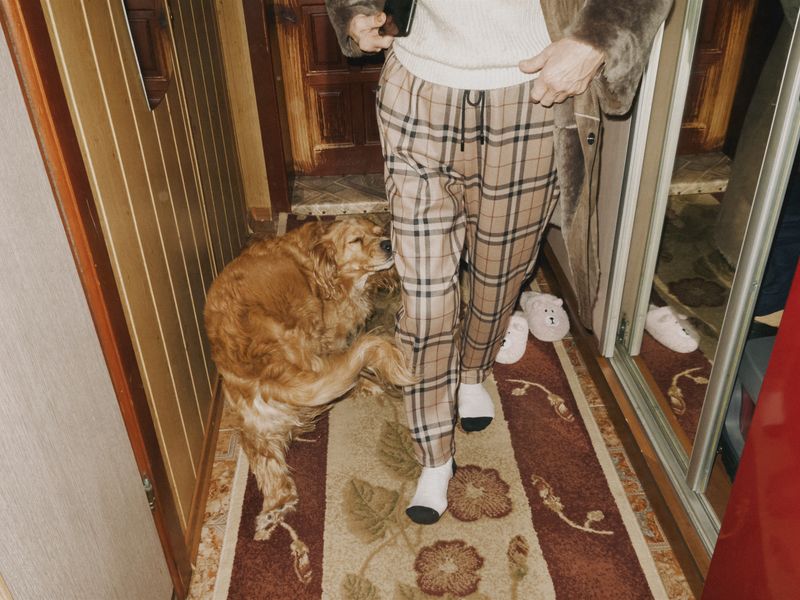 © Anastasia Miseyko - Lucky seeks comfort and attention during shellfire.