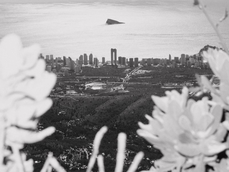 © Anastasia Miseyko - Image from the West Of The Birch Trees photography project