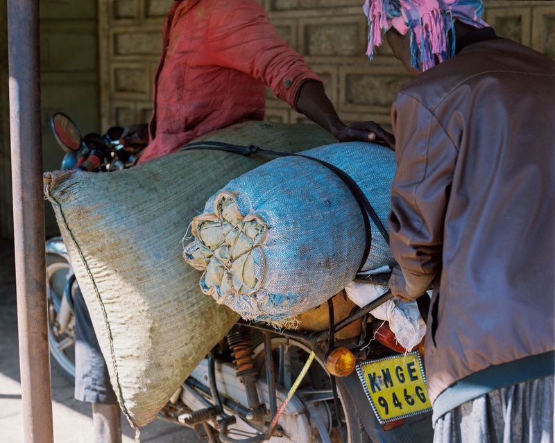 © Gabriel Le petit cooper - Image from the The Hands That Cultivate photography project