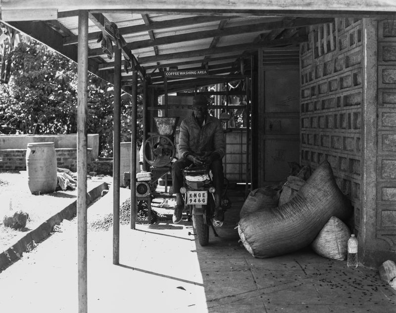 © Gabriel Le petit cooper - Image from the The Hands That Cultivate photography project