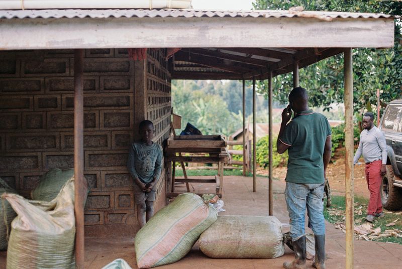 © Gabriel Le petit cooper - Image from the The Hands That Cultivate photography project