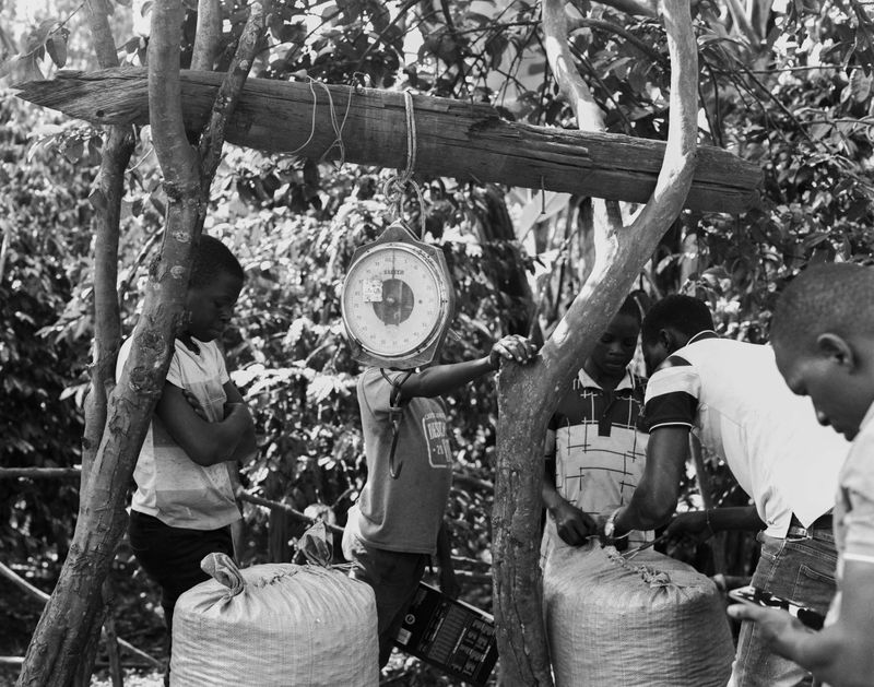 © Gabriel Le petit cooper - Image from the The Hands That Cultivate photography project