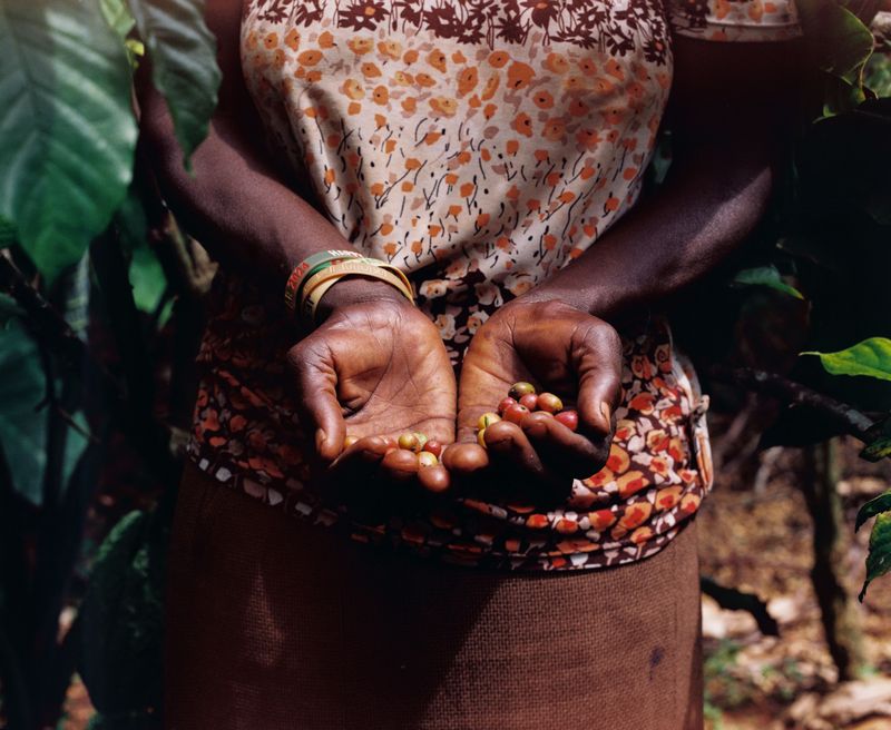 © Gabriel Le petit cooper - Image from the The Hands That Cultivate photography project