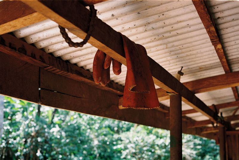 © Gabriel Le petit cooper - Image from the The Hands That Cultivate photography project