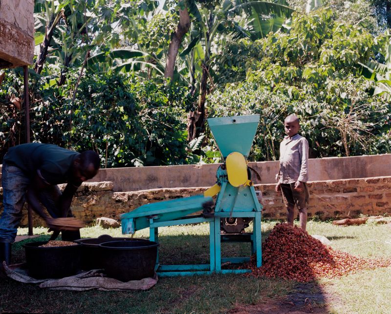 © Gabriel Le petit cooper - Image from the The Hands That Cultivate photography project