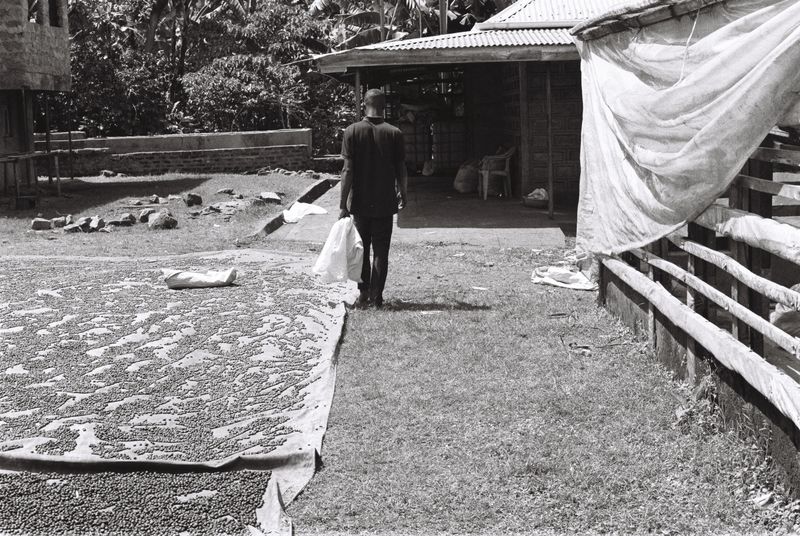 © Gabriel Le petit cooper - Image from the Les mains qui cultivent photography project