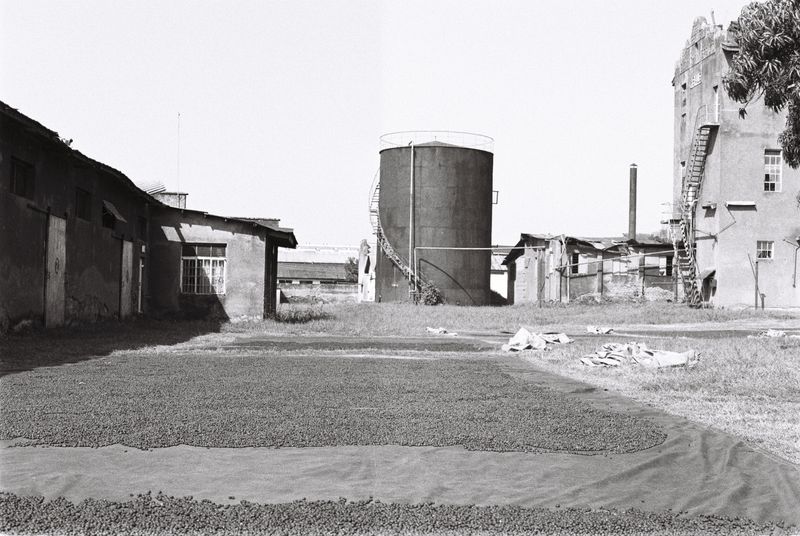 © Gabriel Le petit cooper - Image from the Les mains qui cultivent photography project