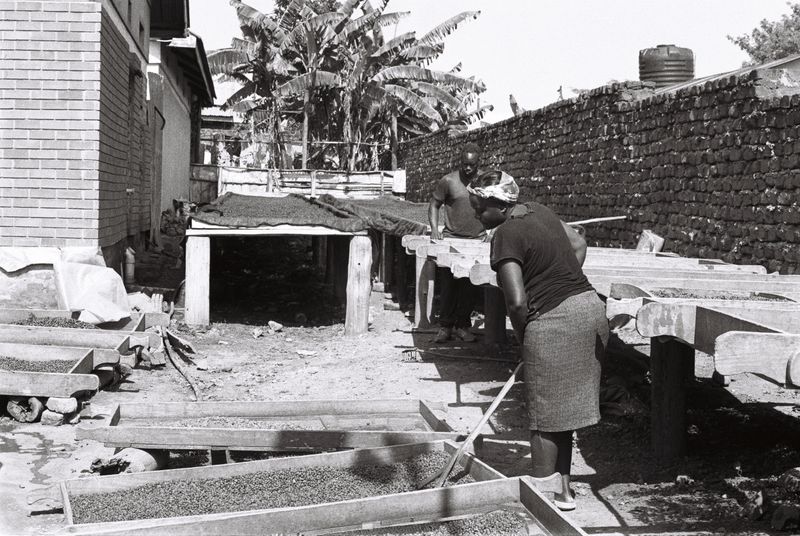 © Gabriel Le petit cooper - Image from the Les mains qui cultivent photography project