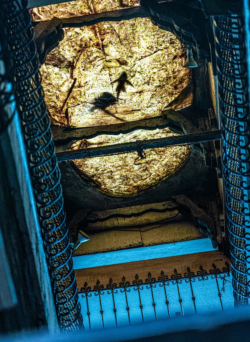 © NASH - Image from the CONTRAST AND PERSPECTIVE photography project