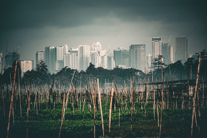 © NASH - Image from the CONTRAST AND PERSPECTIVE photography project