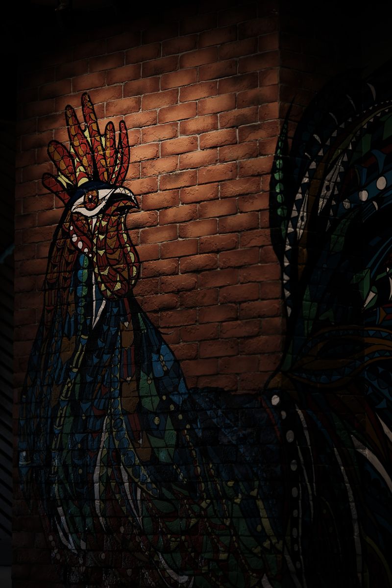 © NASH - Image from the CONTRAST AND PERSPECTIVE photography project