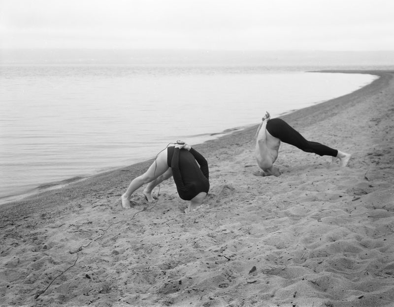 © The Hays - Put your head in the sand