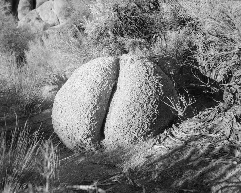 © The Hays - Image from the What the fuck do they know about love photography project