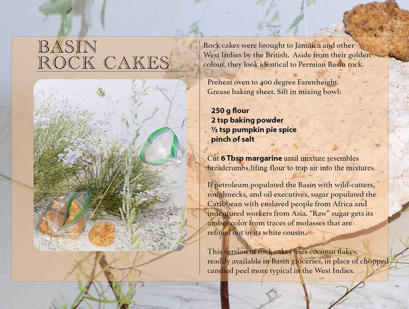 © Amy Kim - Image from the Wolfcamp Catalogue photography project