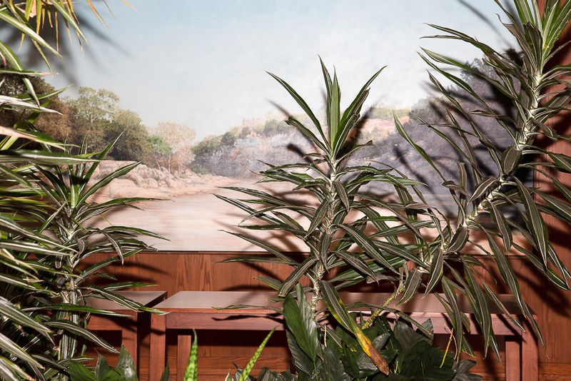 © Amy Kim - Image from the Wolfcamp Catalogue photography project