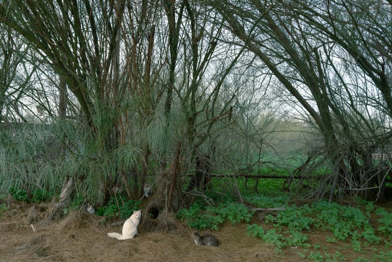 © Ekaterina Frolova - Image from the Borderlands. Chapter IV. Abandonment photography project