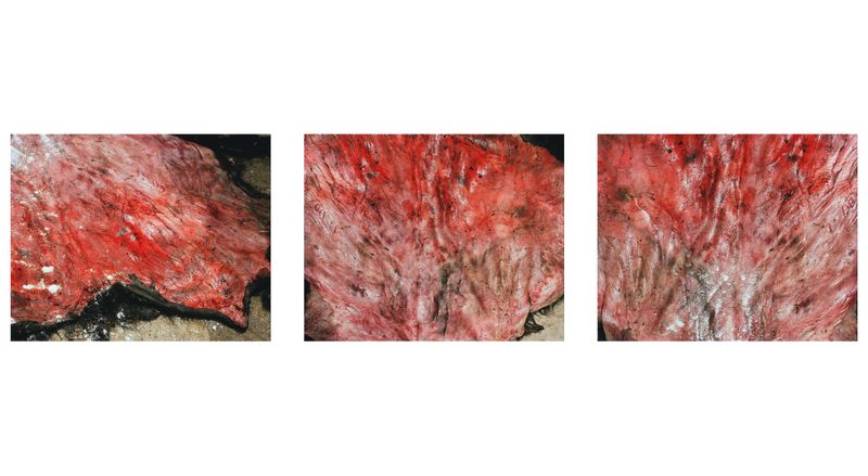 © Lena Dobrowolska &amp; Teo Ormond-Skeaping - Image from the Feedback Loops photography project