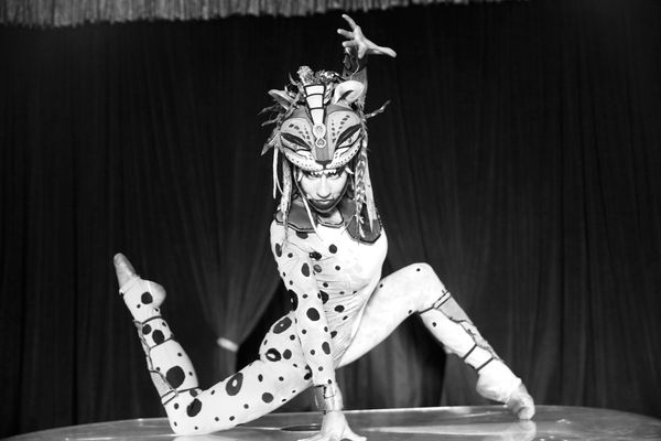 © Andrea Guedella - Andrea Guedella _ Tarantula.jpg