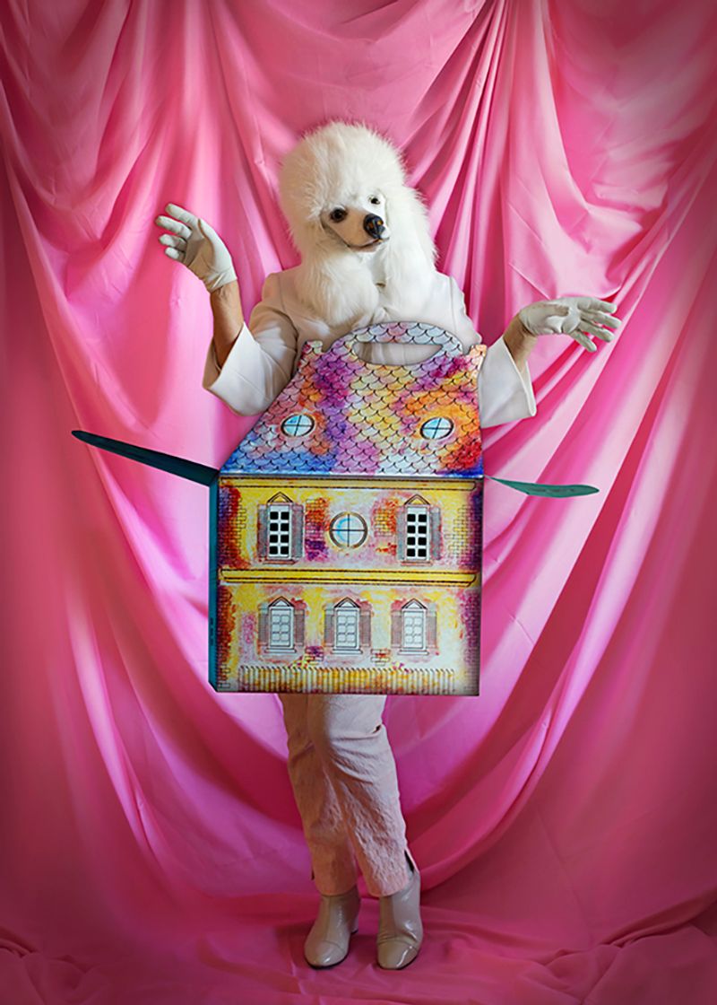 © Andrea Guedella - Pet friendly Pop isolation Series MMXX