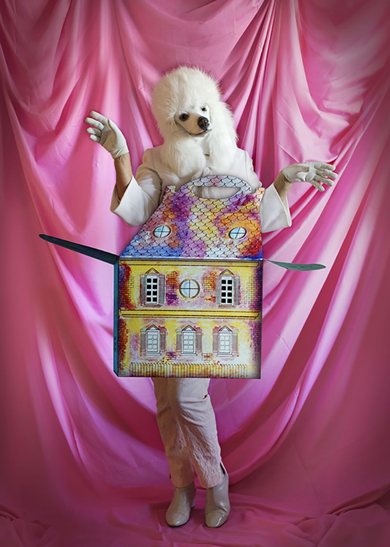 © Andrea Guedella - Pet friendly Pop isolation Series MMXX
