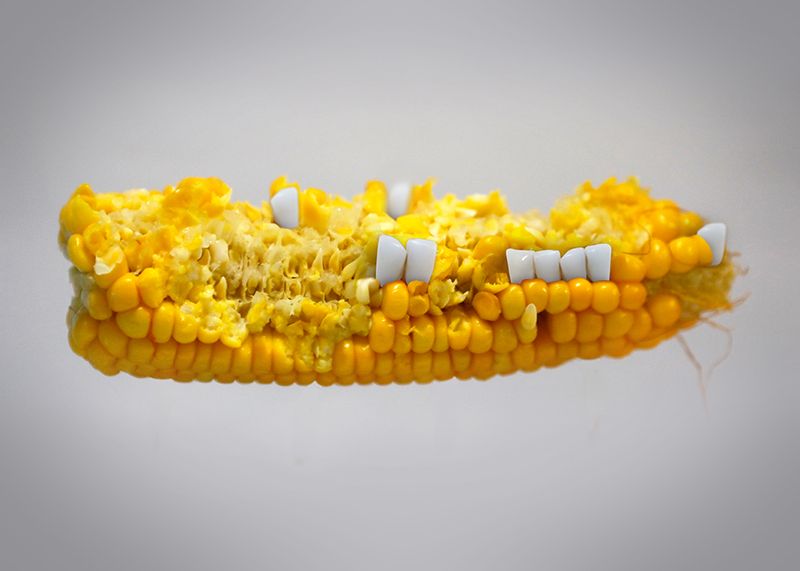 © Andrea Guedella - "Cob"