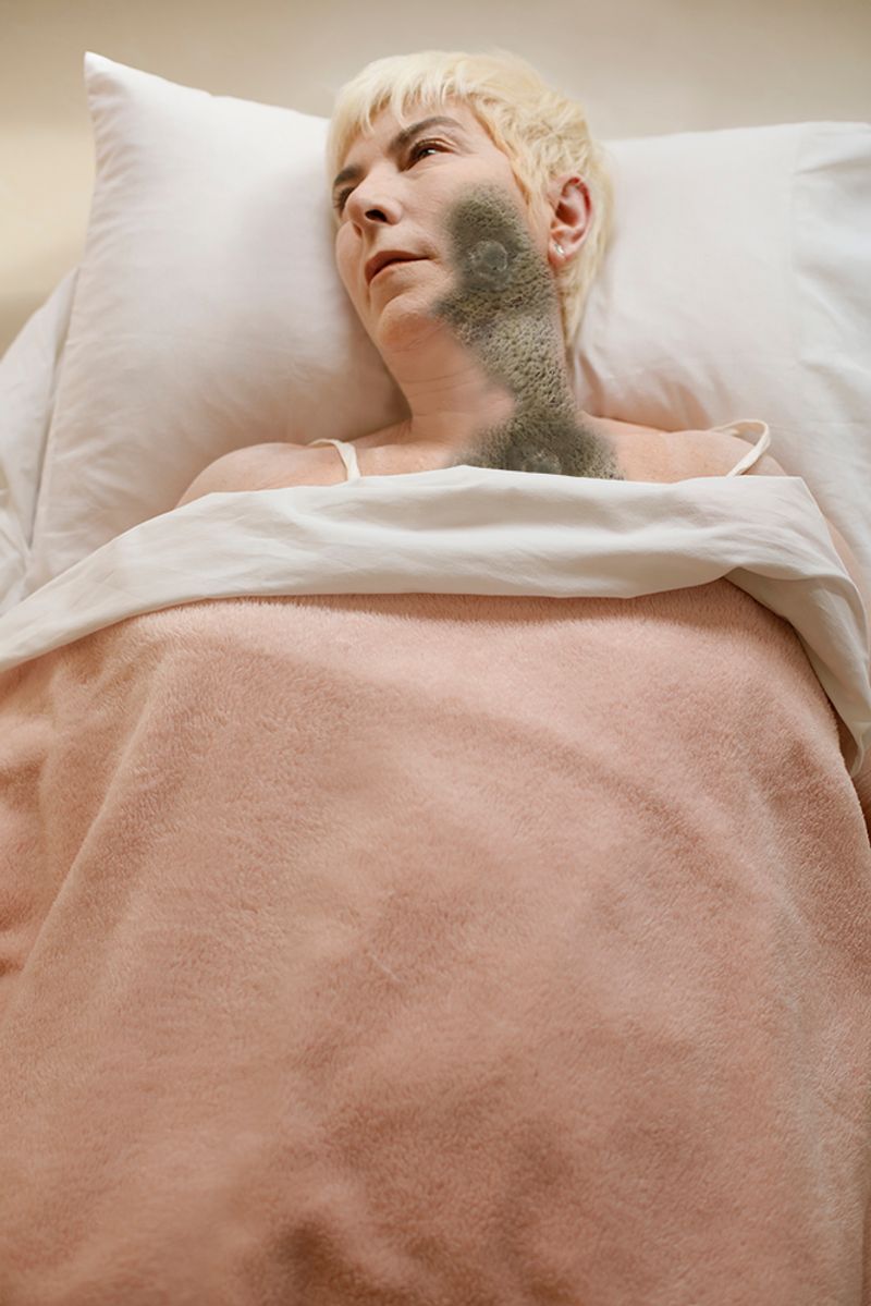 © Andrea Guedella - Rotten