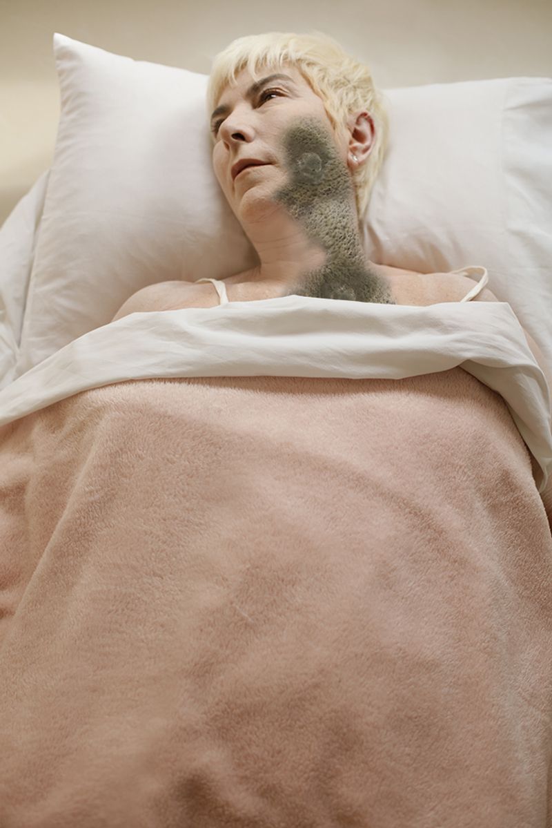 © Andrea Guedella - Rotten