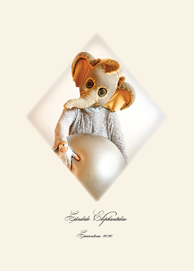 © Andrea Guedella - Image from the "Endangered Species" Series photography project